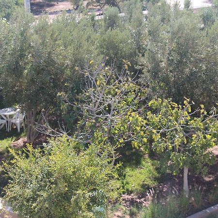 Les Jardins Fleuris Bed and Breakfast Essaouira Buitenkant foto