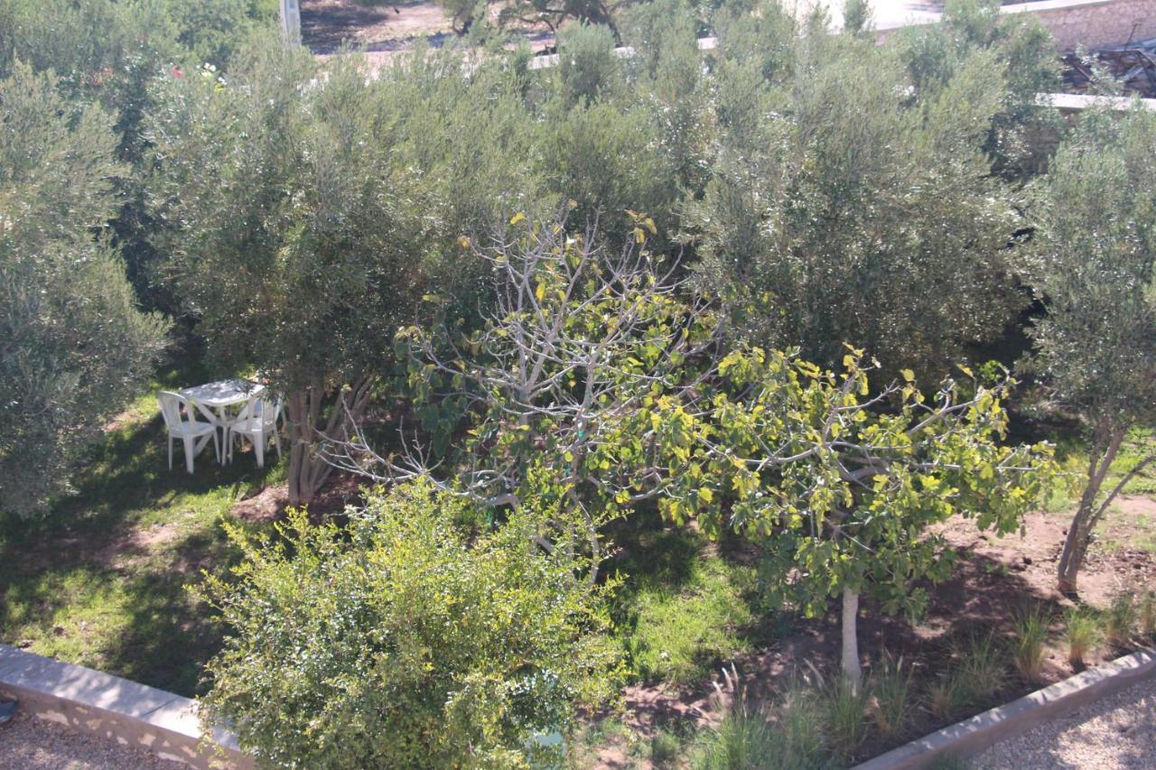Les Jardins Fleuris Bed and Breakfast Essaouira Buitenkant foto