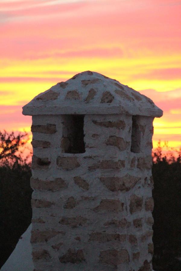 Les Jardins Fleuris Bed and Breakfast Essaouira Buitenkant foto